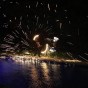 Sharks, Camels & the Solstice
