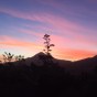 Holiday Squared