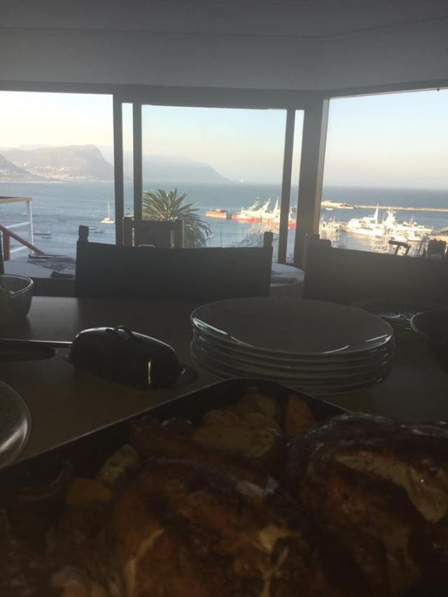 carol chick n view combo