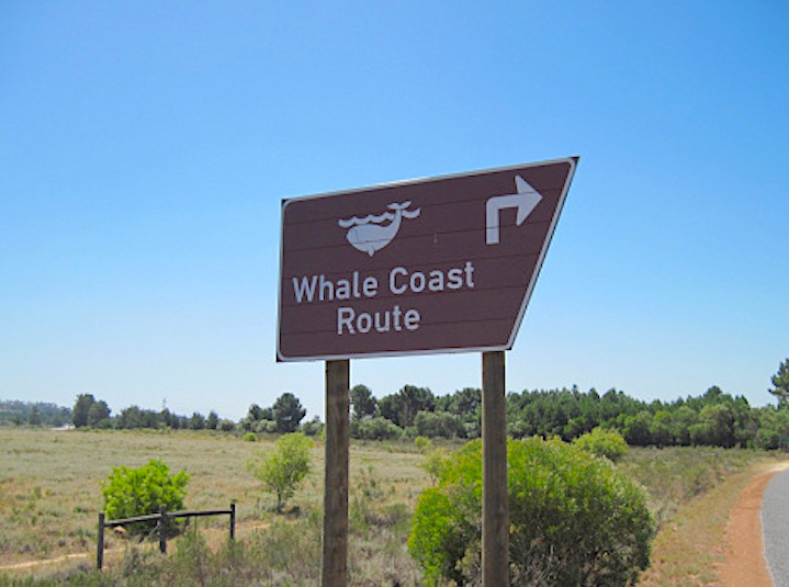whale-coast-route-sign