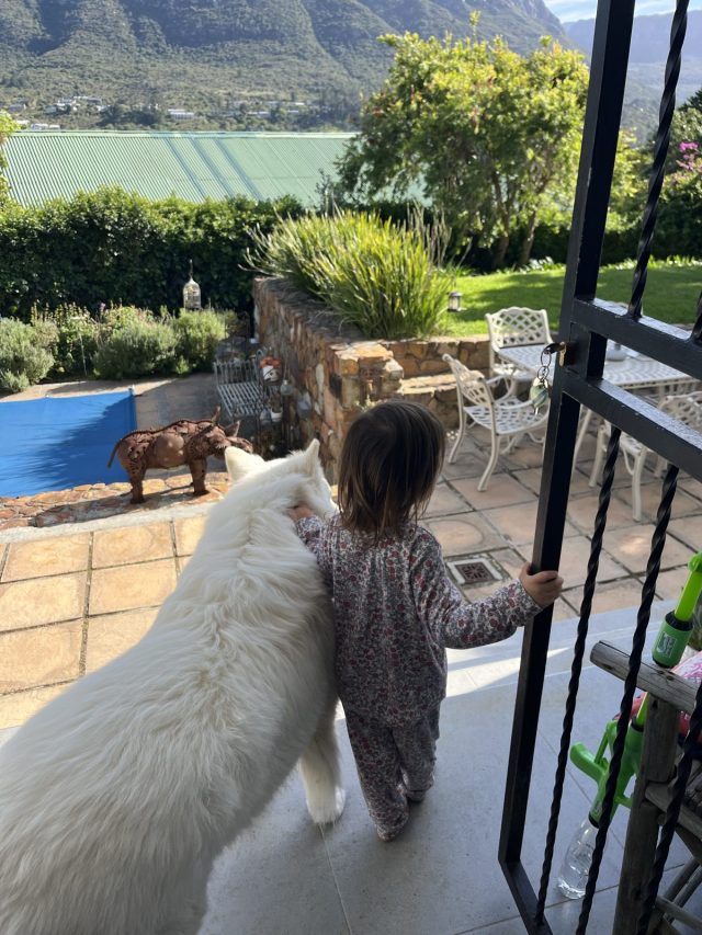 A child in pajamas walking alongside a fluffy white dog outside a house, with a view of mountains and greenery in the background.