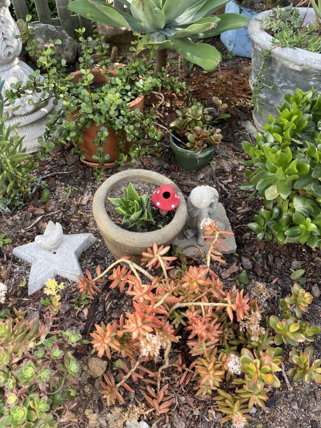 A garden scene featuring a variety of plants, including a small potted succulent with a decorative red ladybug, stone figurines, and a star-shaped garden decoration.