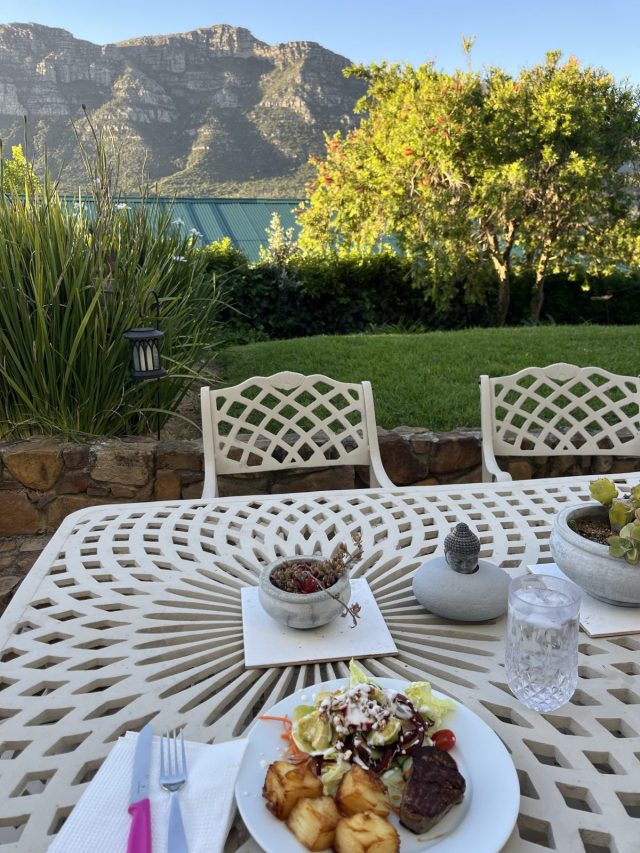 Outdoor dining setting with a view of mountains in the background, featuring a plate of grilled meat, roasted potatoes, and a fresh salad, alongside decorative plants and a glass of water on a decorative table.