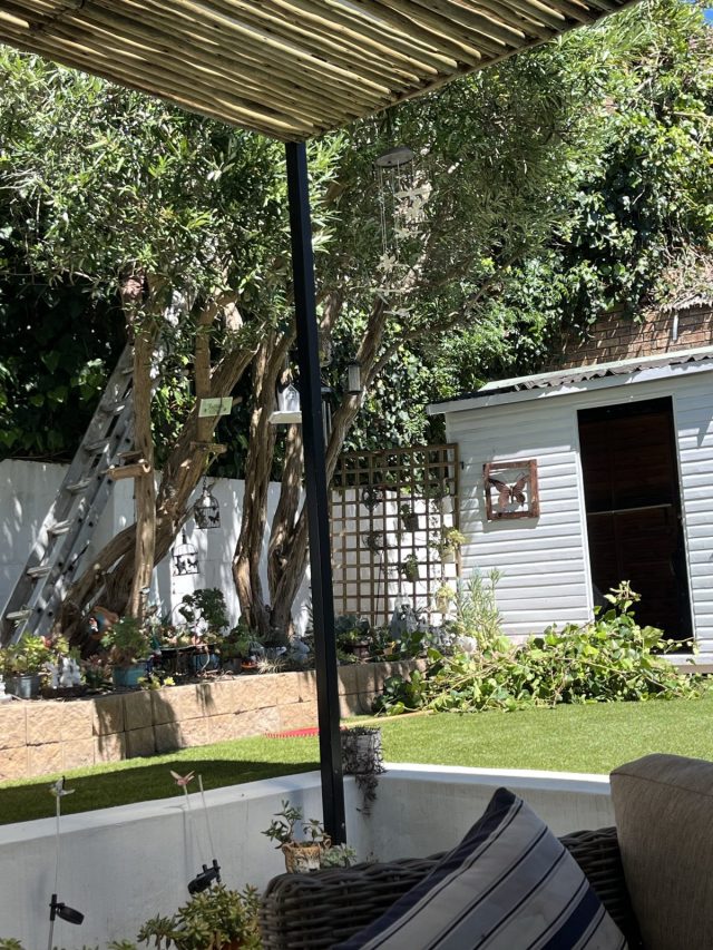 A view of a serene garden with a wooden pergola, lush green trees, and a white shed in the background. A ladder leans against a tree, and various potted plants are arranged along a stone planter.
